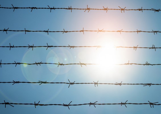 Barbed wire fence in direct sunlight