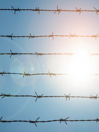 Barbed wire fence in direct sunlight