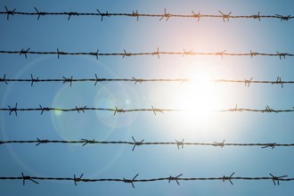 Barbed wire fence in direct sunlight