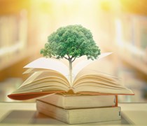 Tree growing from a pile of books