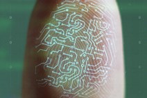Digital fingerprint