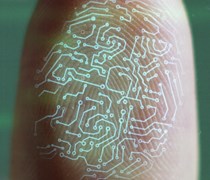 Digital fingerprint