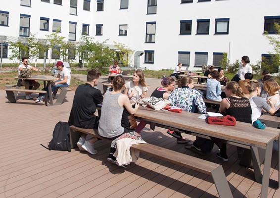 Students sitting outdoors on benches