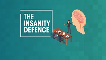 The Insanity Defence