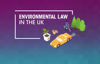 Environmental law in the UK