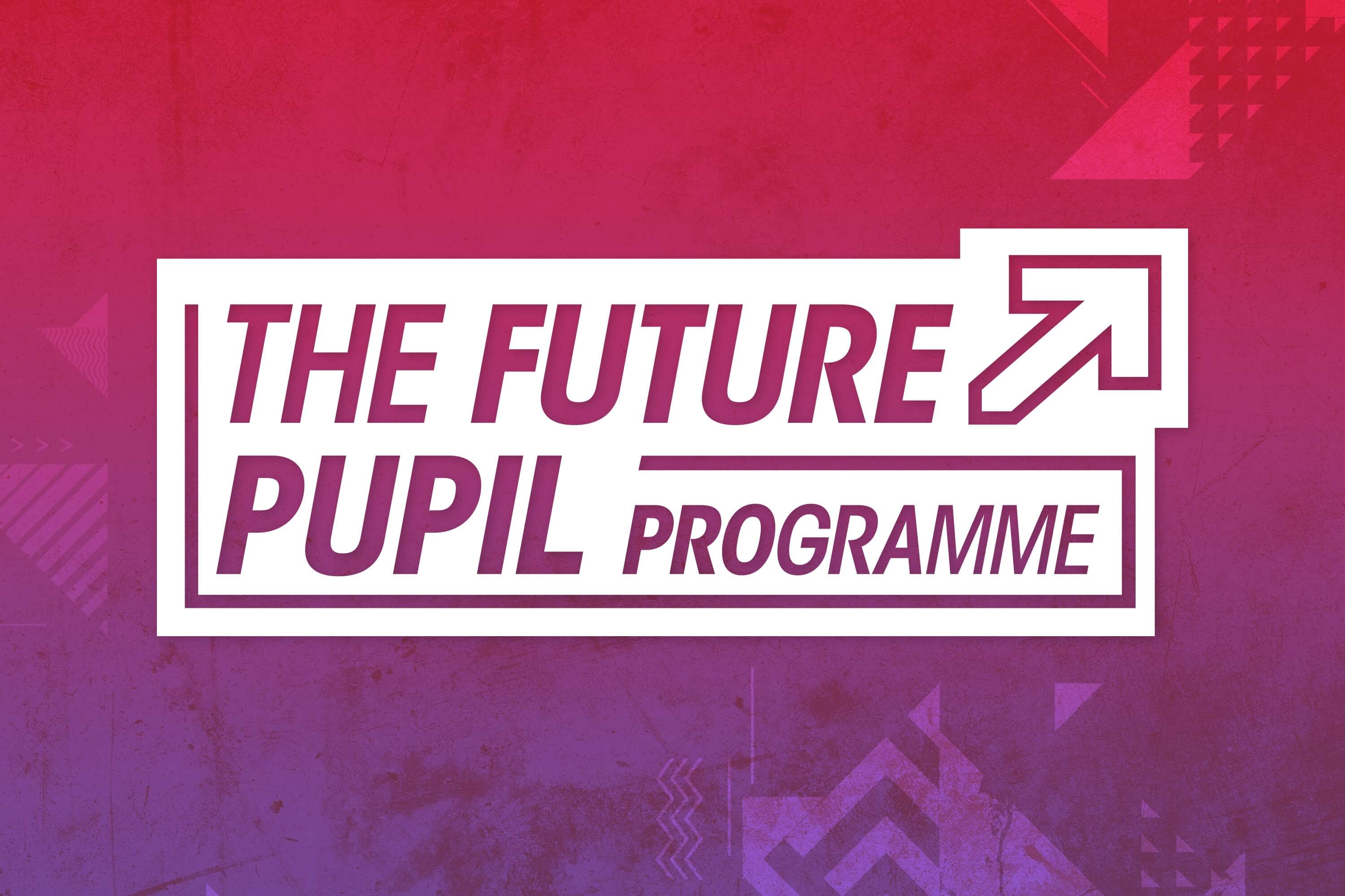 The Future Pupil Programme
